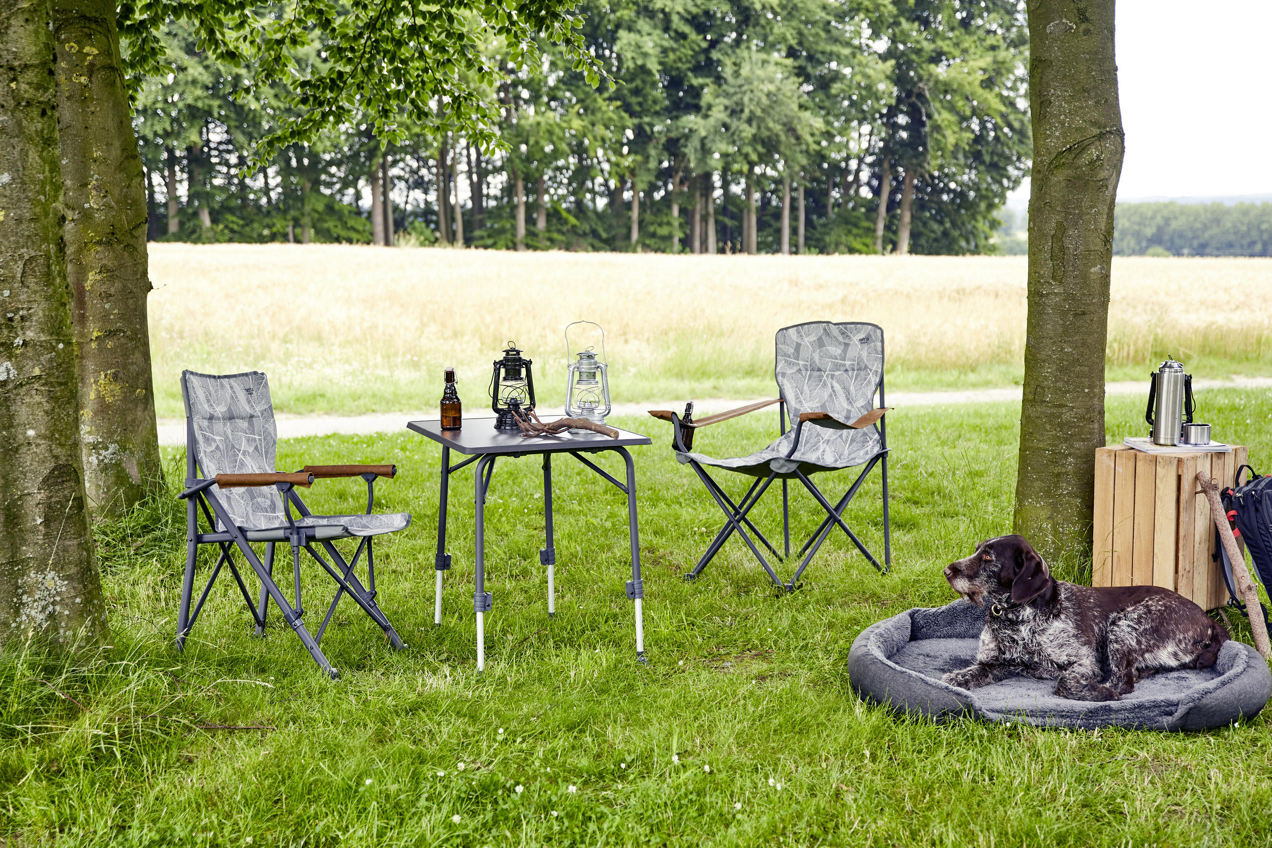 CAMPINGSESSEL - Anthrazit/Grau, KONVENTIONELL, Textil/Metall (90/96/61cm) - Siena Garden