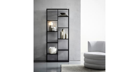 REGAL Schwarz - Schwarz, Trend, Kunststoff/Metall (80/188/30cm) - Carryhome