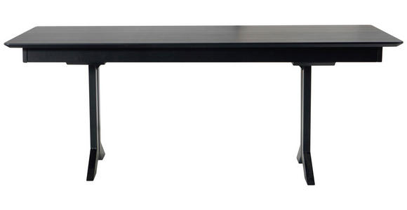 ESSTISCH in Metall, Kunststoff 200-300/100/76 cm  - Schwarz, KONVENTIONELL, Kunststoff/Metall (200-300/100/76cm) - Moderano