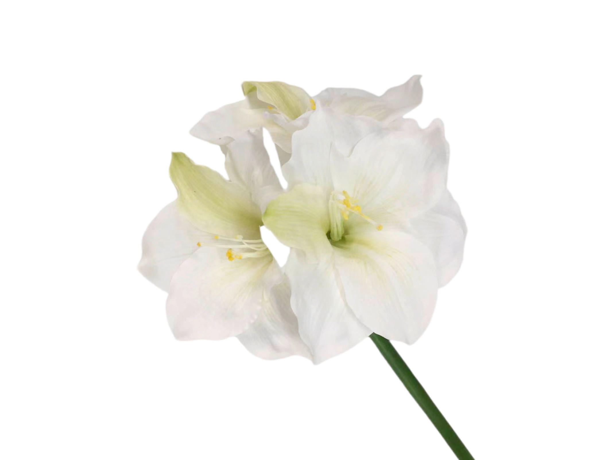 KUNSTBLUME Amaryllis  - Weiß, Basics, Kunststoff (87cm)