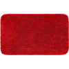 BADTEPPICH Rot 60/100 cm  - Rot, Basics, Kunststoff/Textil (60/100cm) - Grund