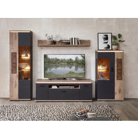 DNEVNI REGAL,  barve hrasta, barve grafita  - črna/barve hrasta, Moderno, kovina/steklo (325/202/47cm) - Stylife