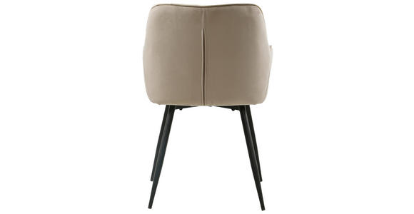 ARMLEHNSTUHL in Eisen Samt - Creme/Schwarz, Design, Holz/Textil (56/79/58cm) - Carryhome