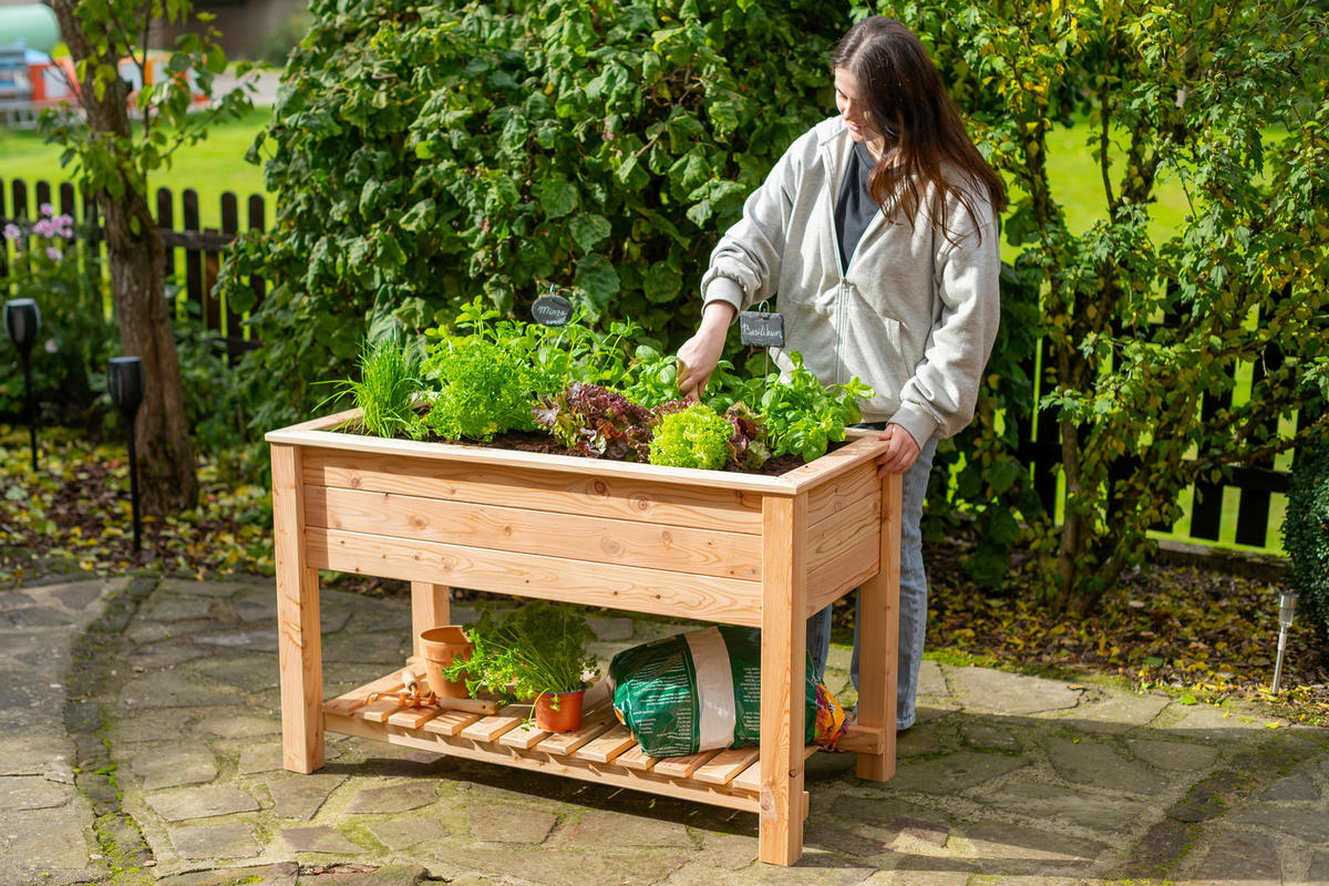HOCHBEET  - Lärchefarben, KONVENTIONELL, Holz (120/65/75cm) - Ambia Garden