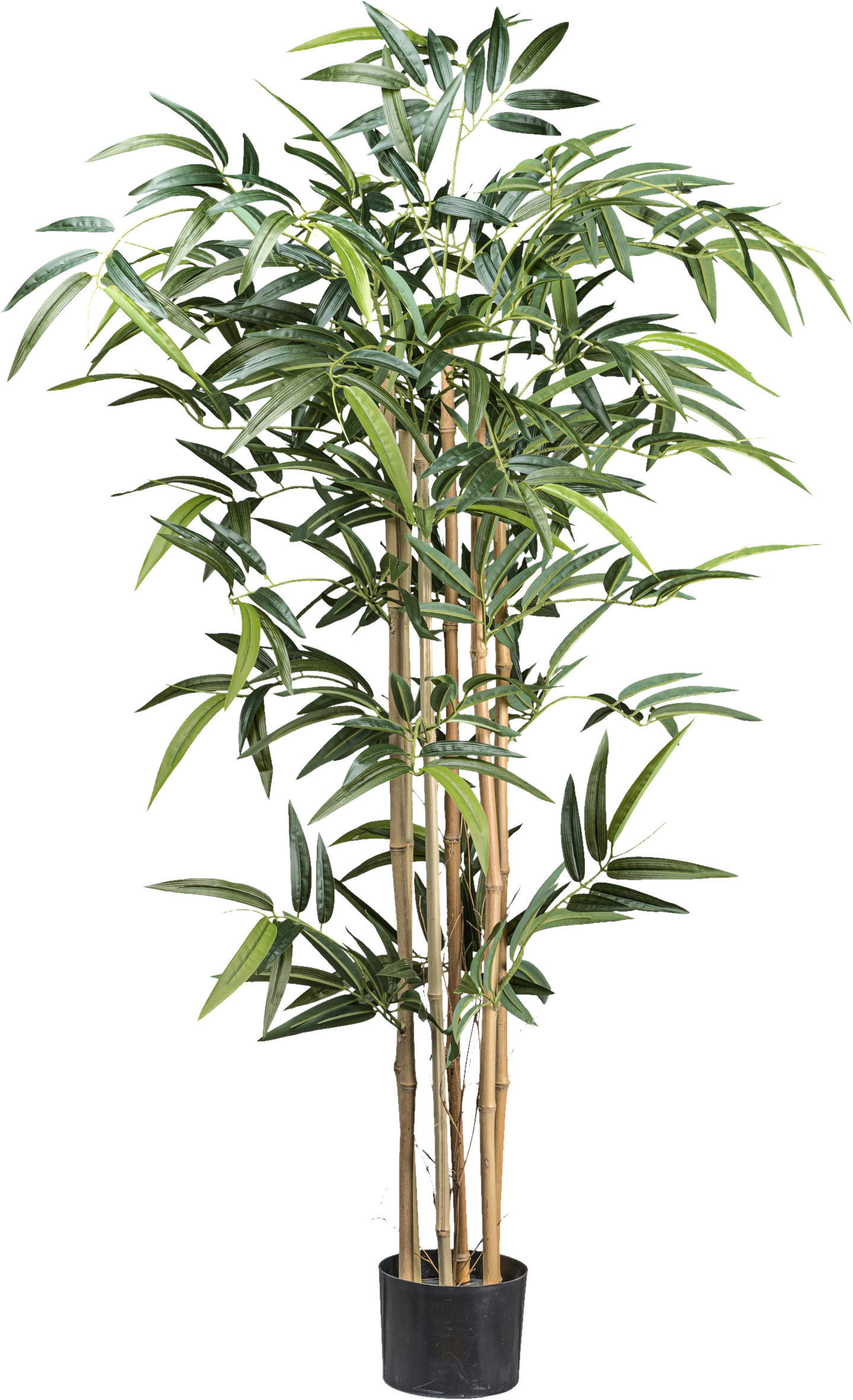 KUNSTPFLANZE Bambus 130 cm  - Schwarz/Braun, Design, Naturmaterialien/Kunststoff (130cm) - P & B
