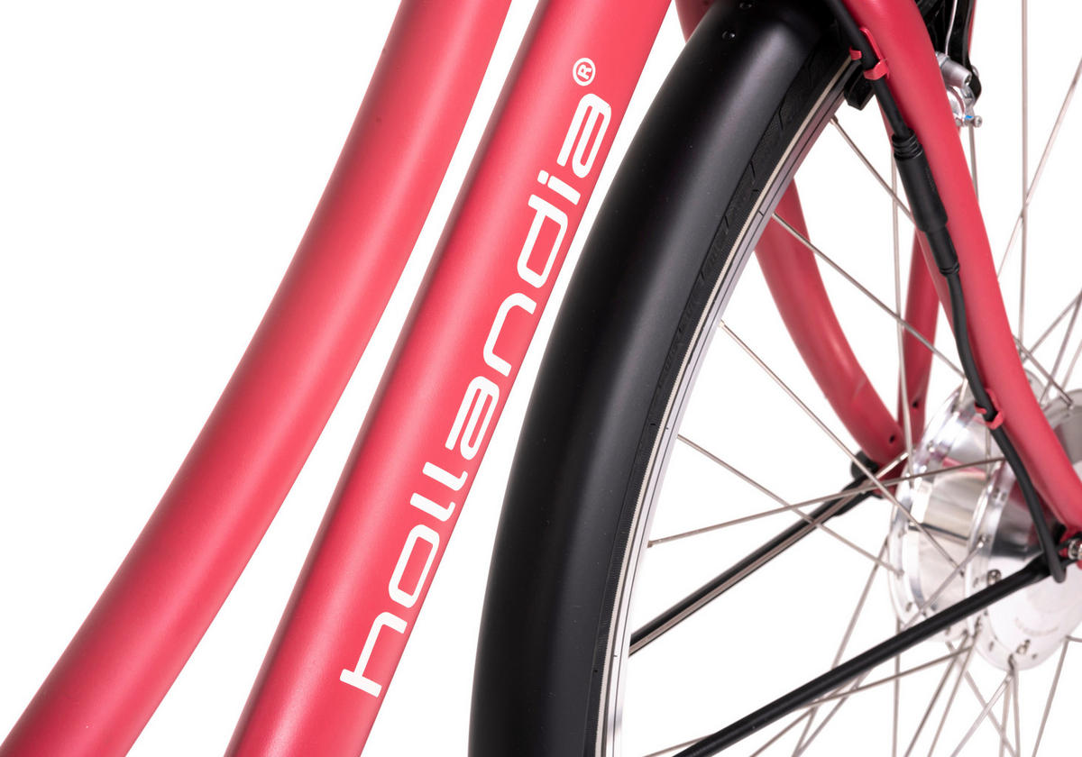 ELEKTROFAHRRAD 28 Zoll  - Rot, Basics, Metall (180/70/100cm)