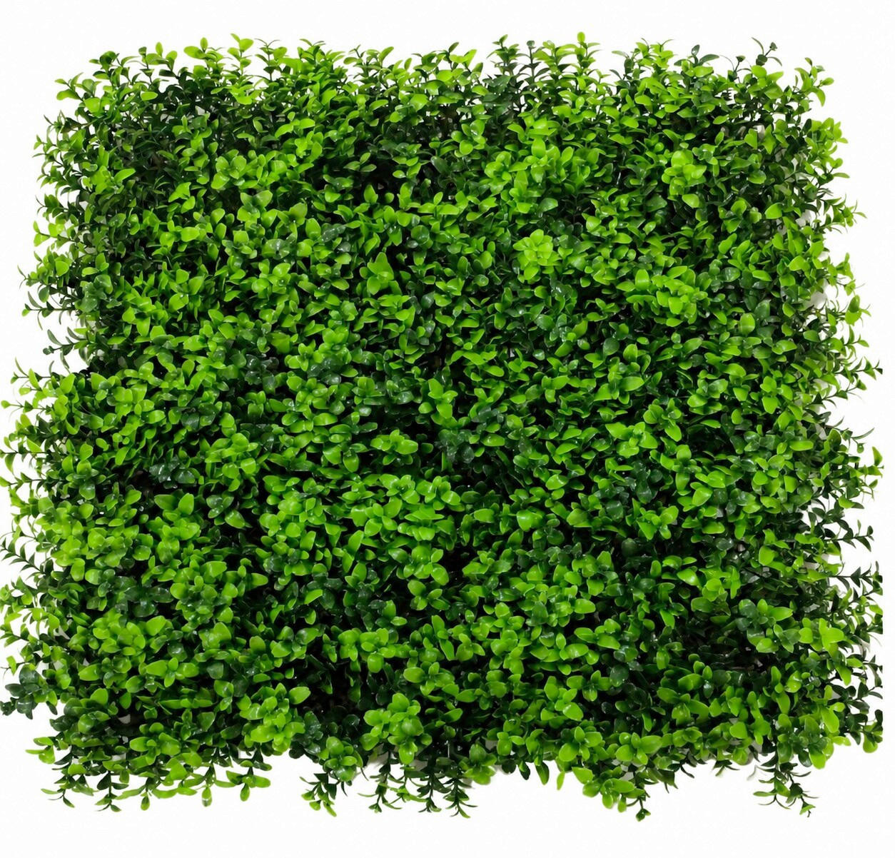 STENSKA OBLOGA     50/50/3 cm      zelena  - zelena, Design, umetna masa (50/50/3cm)