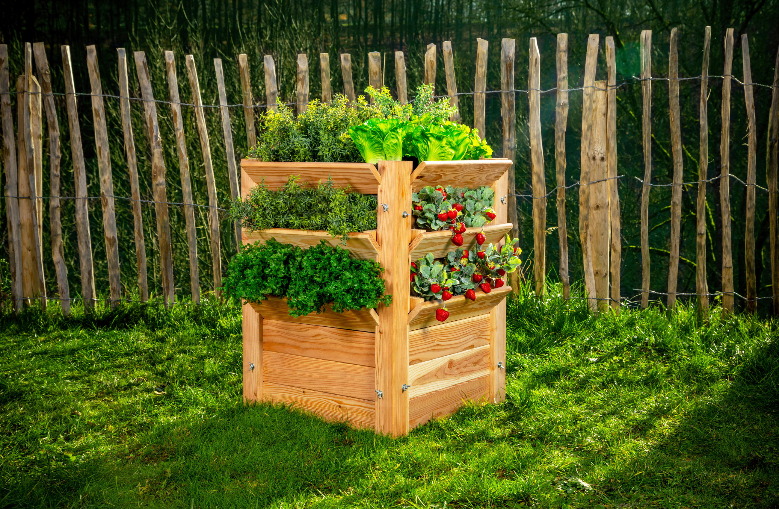 HOCHBEET  - Lärchefarben, Basics, Holz (65/73/65cm) - Ambia Garden
