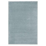 HOCHFLORTEPPICH  ROYAL SHAGGY  - Türkis, Basics, Textil (200/290cm) - Novel