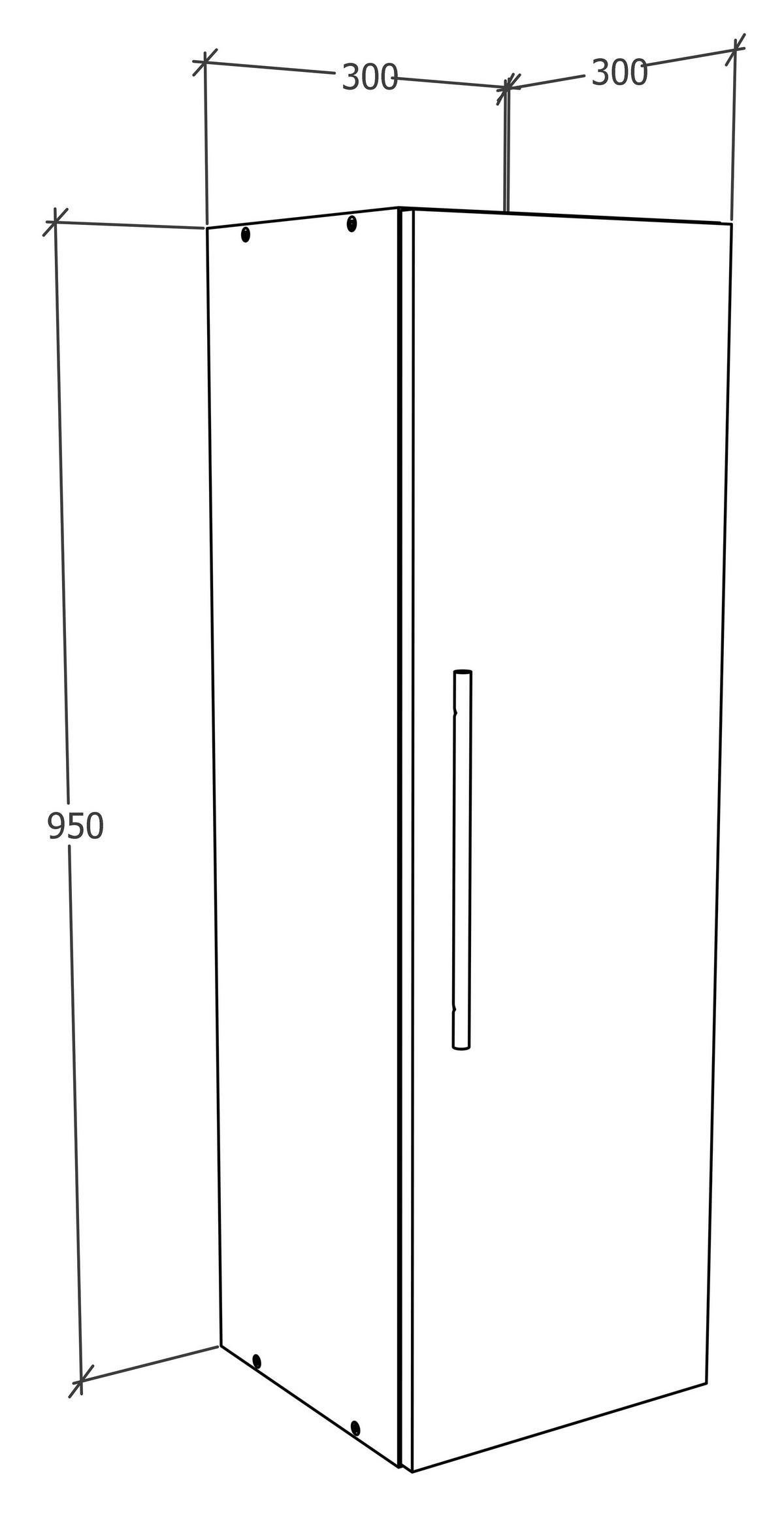 VÄGGHÄNGT SKÅP  - svart/antracit, Modern, metall/trämaterial (30/115/30cm) - MID.YOU
