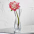 VASE 20 cm - Klar, Basics, Glas (5/20cm) - Leonardo VASE 20 cm - Klar, Basics, Glas (5/20cm) - Leonardo