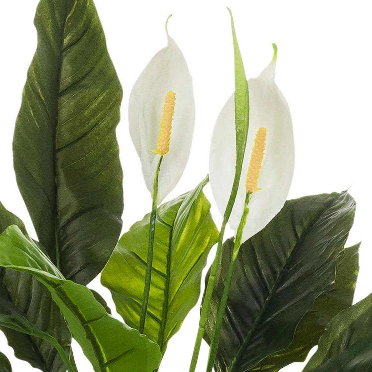 KUNSTPFLANZE  - Weiß/Grau, MODERN, Kunststoff (55/60/40cm) - MID.YOU