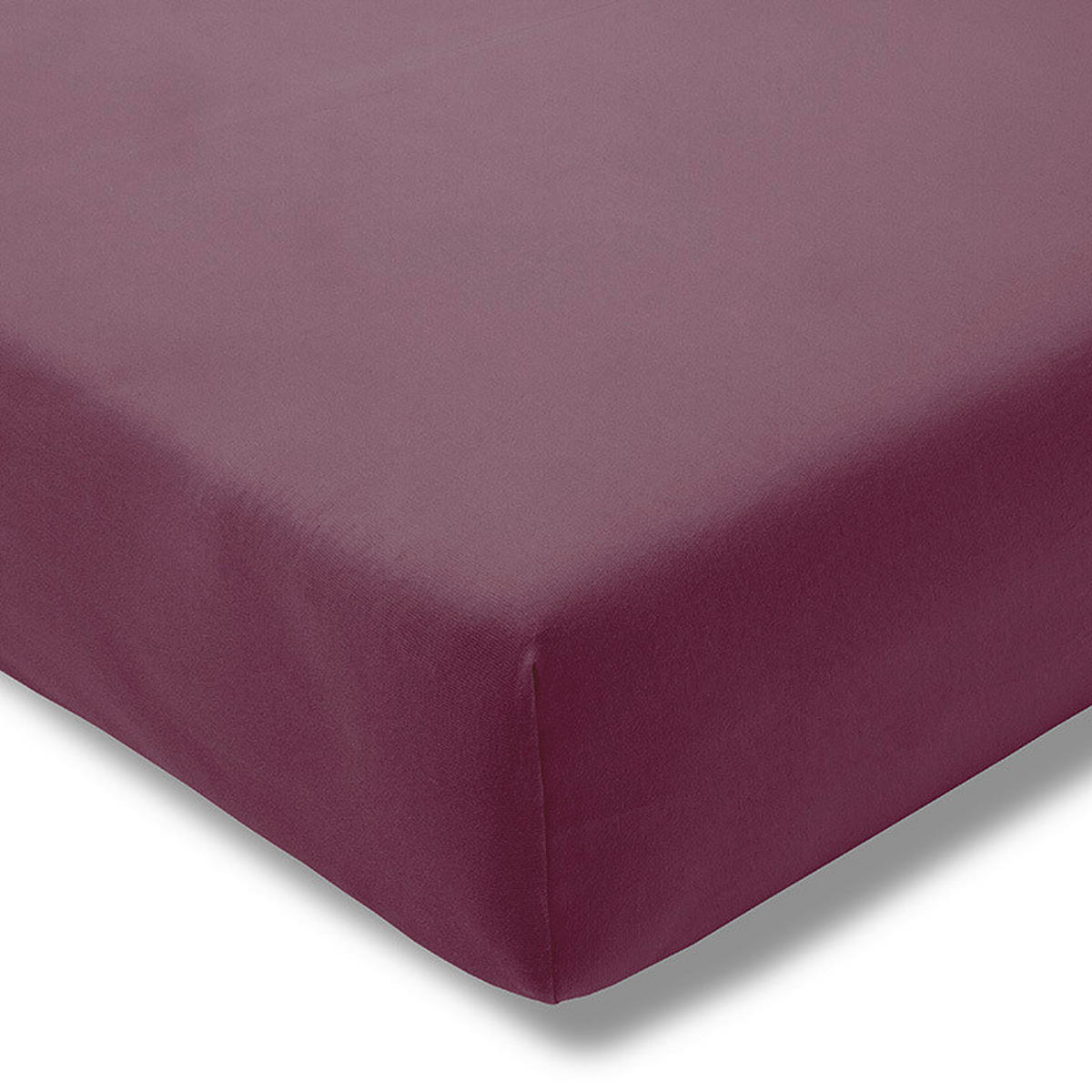 SPANNBETTTUCH Exquisit Single-Jersey  - Aubergine, Basics, Textil (100/200cm) - Estella