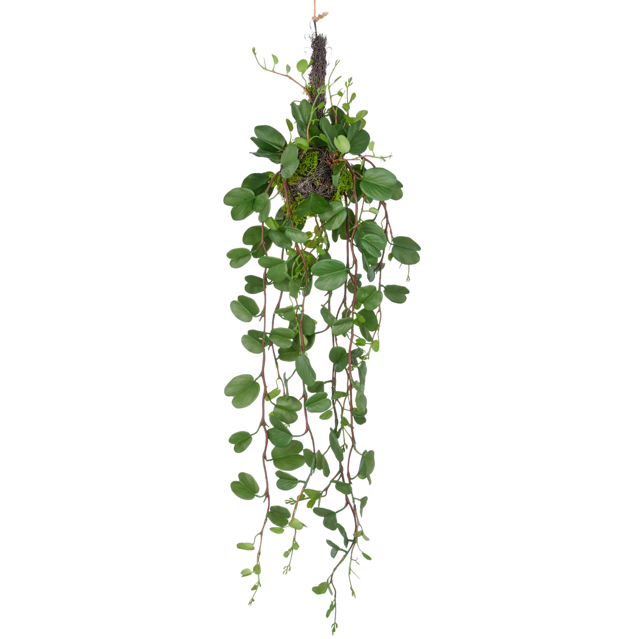 KUNSTPFLANZE Efeu  - Grün, Basics, Kunststoff (17/55/17cm) - P & B