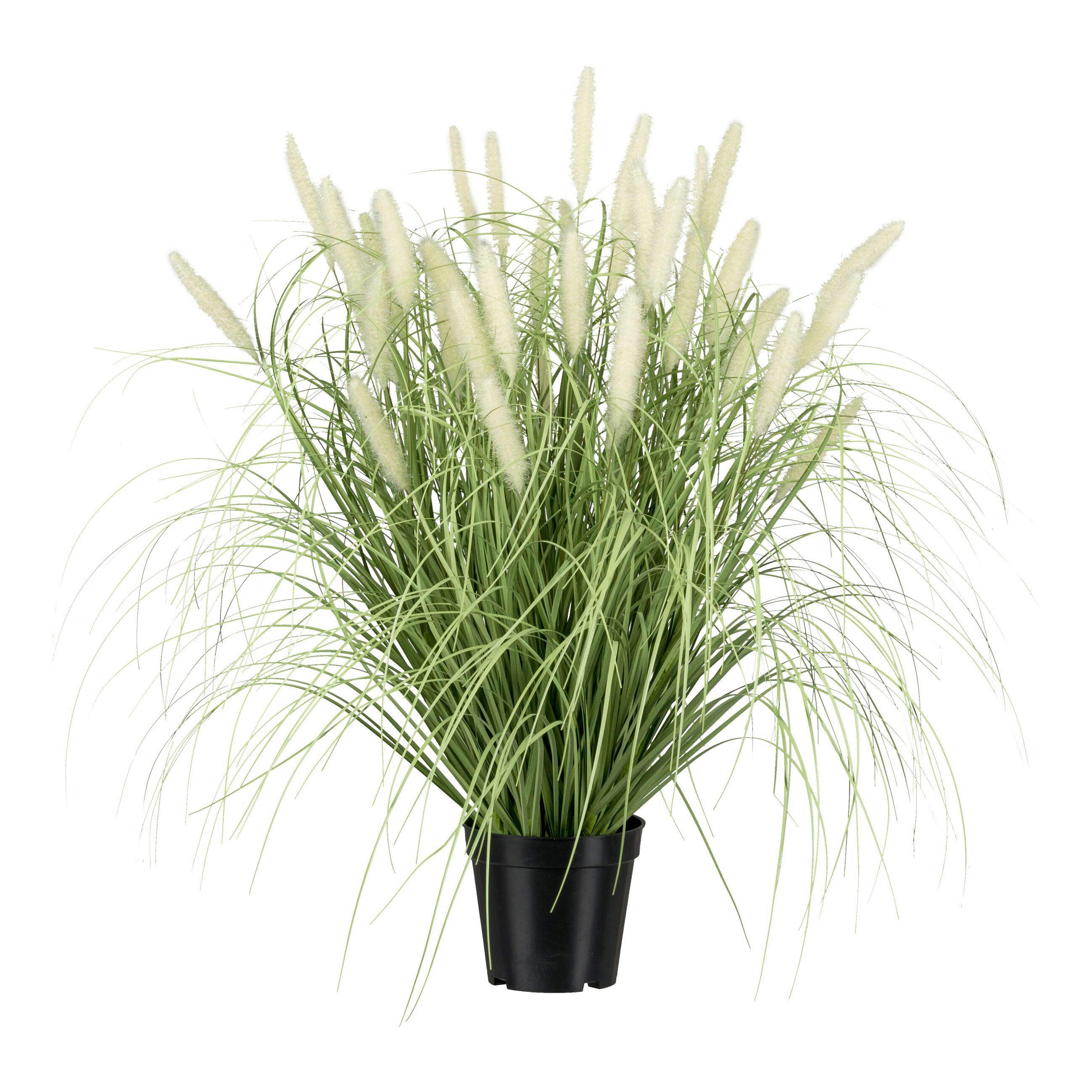 KUNSTPFLANZE 65 cm  - Creme/Schwarz, Basics, Kunststoff (65cm)