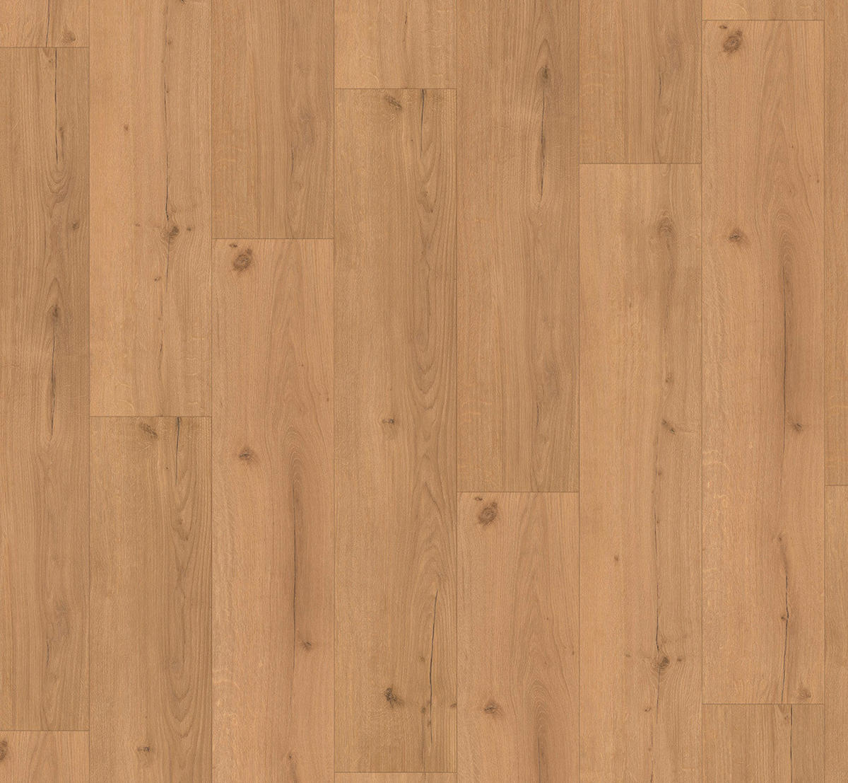 VINYLBODEN Vinyl Basic 5.3  per  m² - Eichefarben, Basics, Kunststoff (120.9/22.5/0.53cm) - Parador