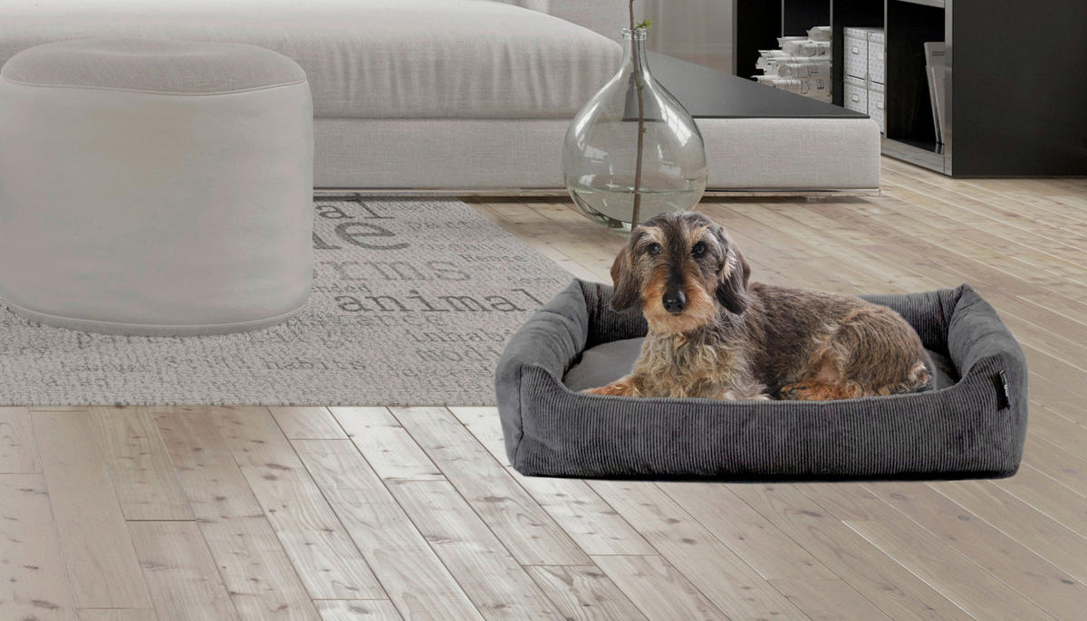 HUNDEKISSEN MILOW ANTHRAZIT - Anthrazit, KONVENTIONELL, Textil (70/49/15cm)
