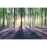 DEKOPANEEL - Multicolor, Basics, Holzwerkstoff (60/90cm) - Reinders Next DEKOPANEEL - Multicolor, Basics, Holzwerkstoff (60/90cm) - Reinders Next
