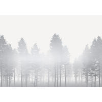 FOTOTAPETE  - Silberfarben/Weiß, Trend (400/280cm) - Xora