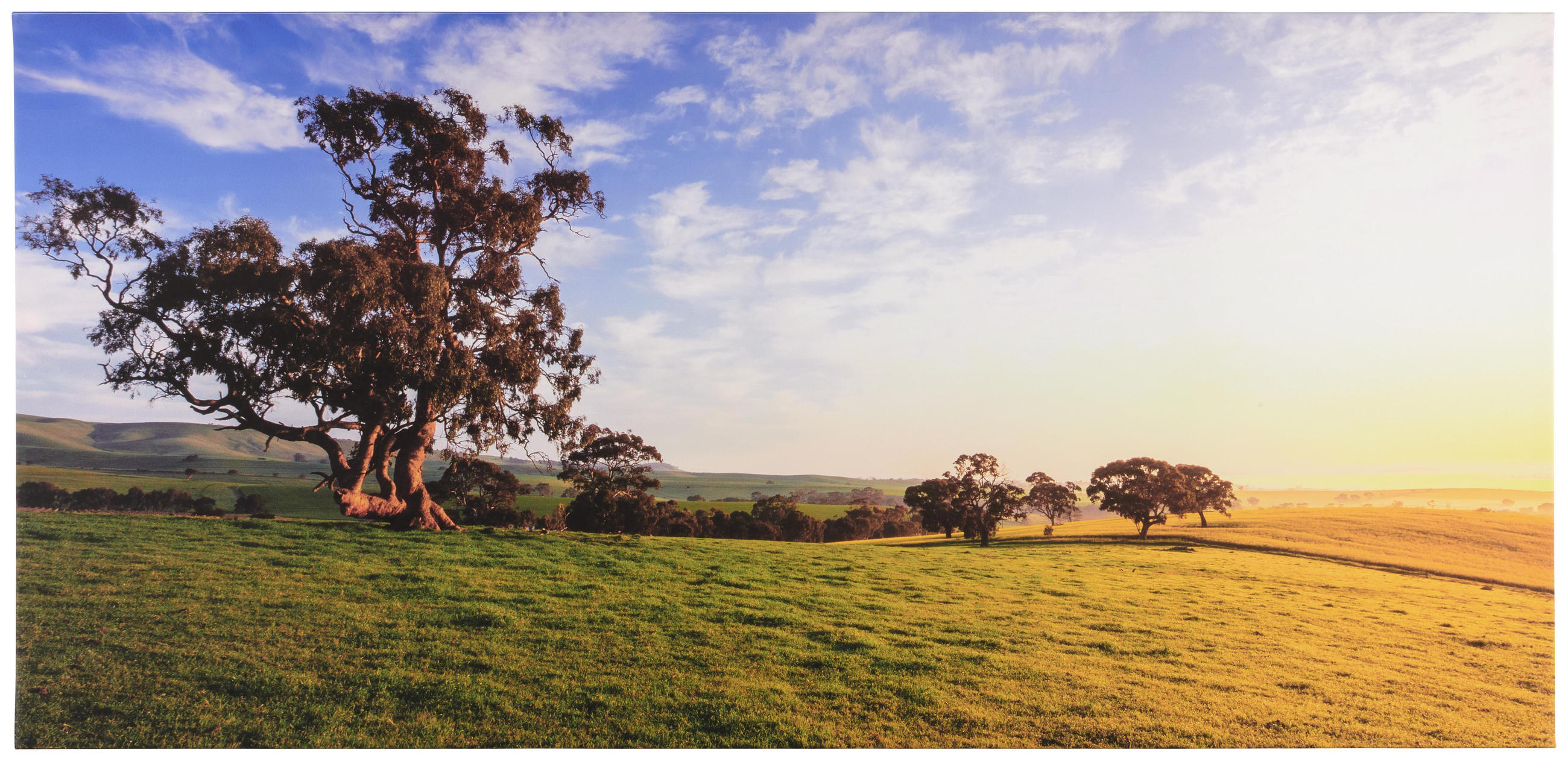 Keilrahmenbild 115/55/3 cm