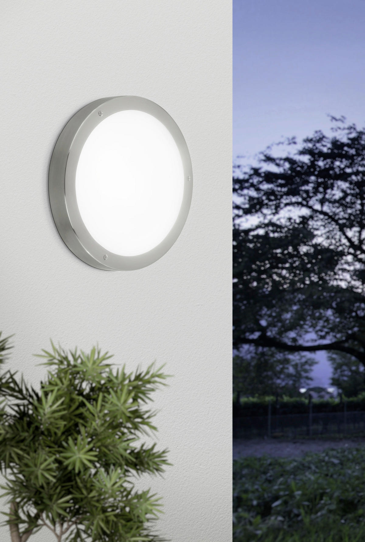 VENKOVNÍ NÁSTĚNNÉ SVÍTIDLO, 28,5/28,5/8 cm  - bílá/barvy nerez oceli, Basics, kov/sklo (28,5/28,5/8cm) - Eglo