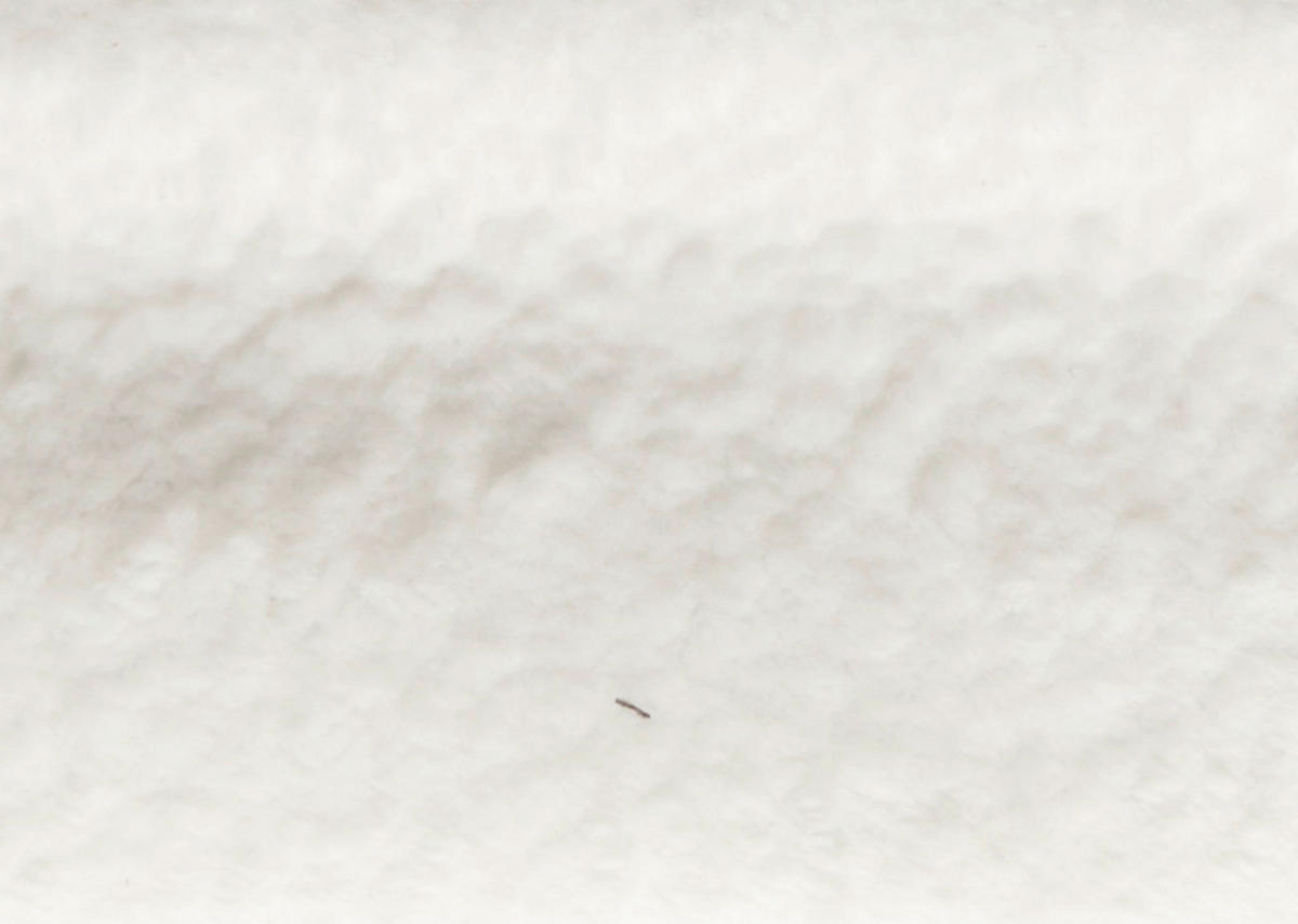 SESSEL in Teddystoff Weiß  - Schwarz/Weiß, Design, Textil/Metall (60/94/86cm) - Dieter Knoll