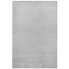 FLACHWEBETEPPICH 80/150 cm Fancy Hellgrau  - Hellgrau, Basics, Kunststoff (80/150cm) - Novel