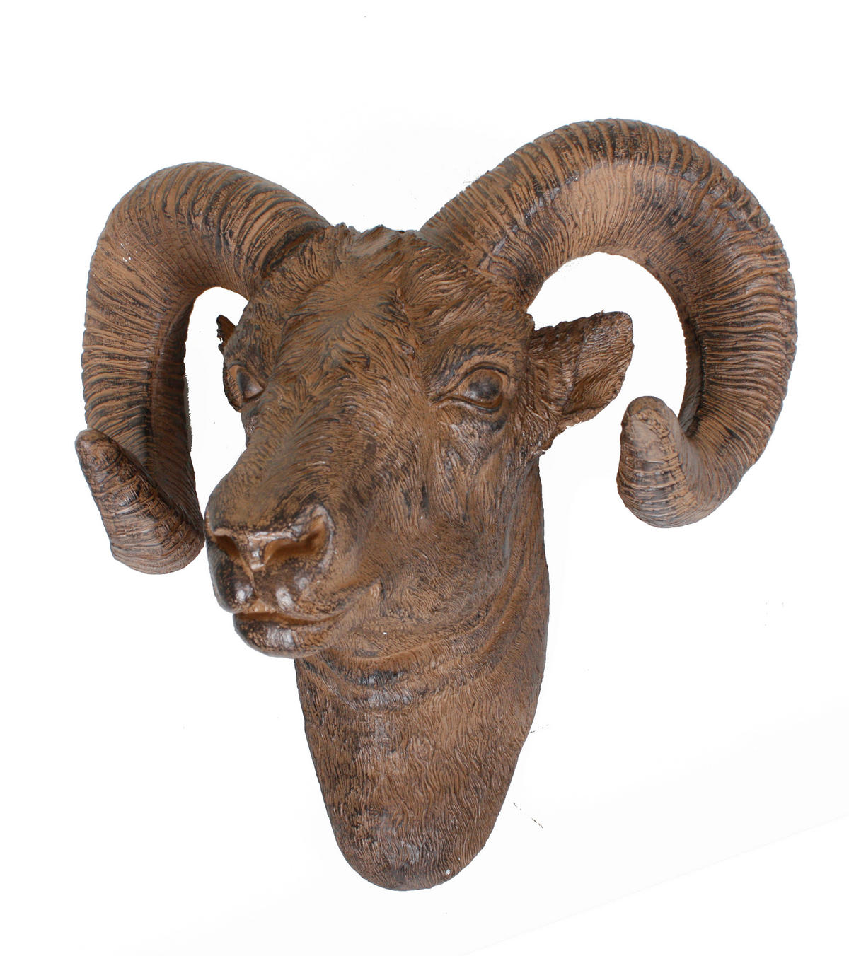 DEKOKOPF  - Braun, Basics, Kunststoff (49/30/45,6cm)