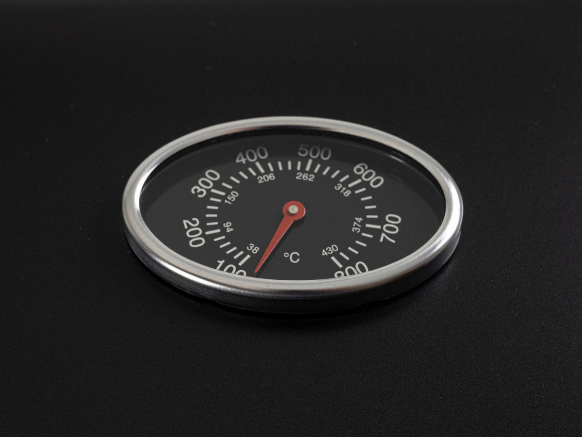 ELEKTROGRILL - Silberfarben, Design, Metall (68/103/45cm) - Nouvel