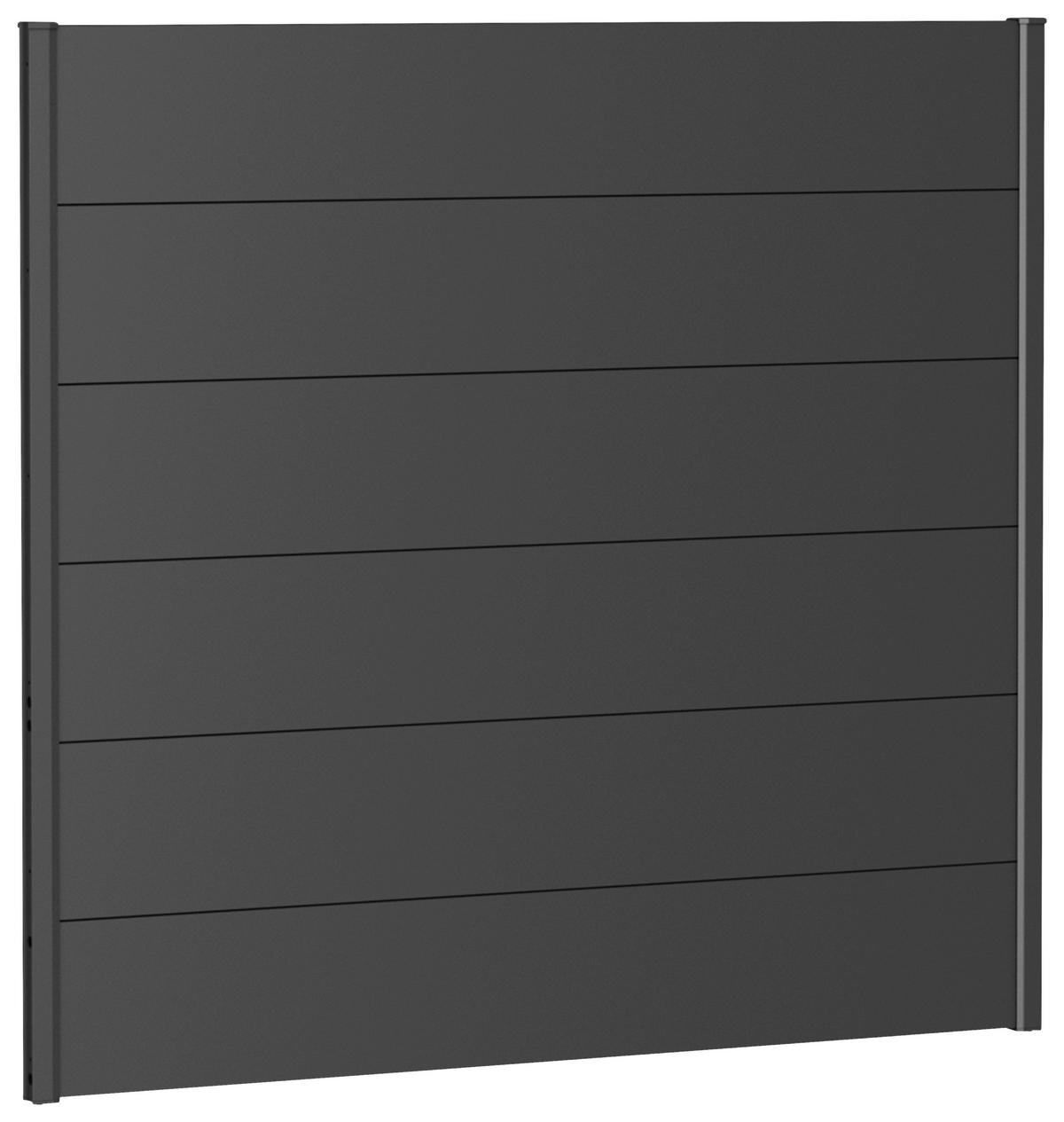 SICHTSCHUTZ - Dunkelgrau, Basics, Metall (145/137/4,4cm) - Biohort