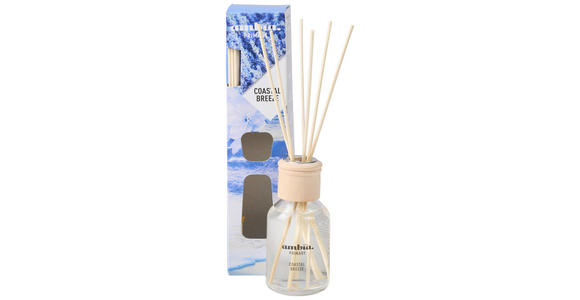 DIFFUSER 100 ml Meeresbrise  - Naturfarben, Basics (100ml) - Ambia Home