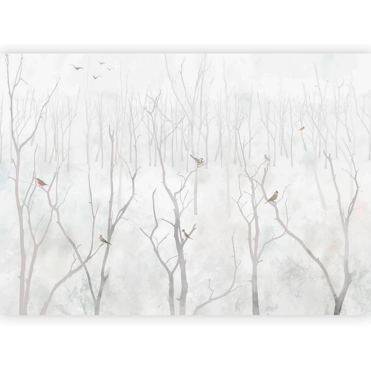 FOTOTAPETE  - Hellgrau/Grauweiß, LIFESTYLE, Textil (100/70cm) - artgeist