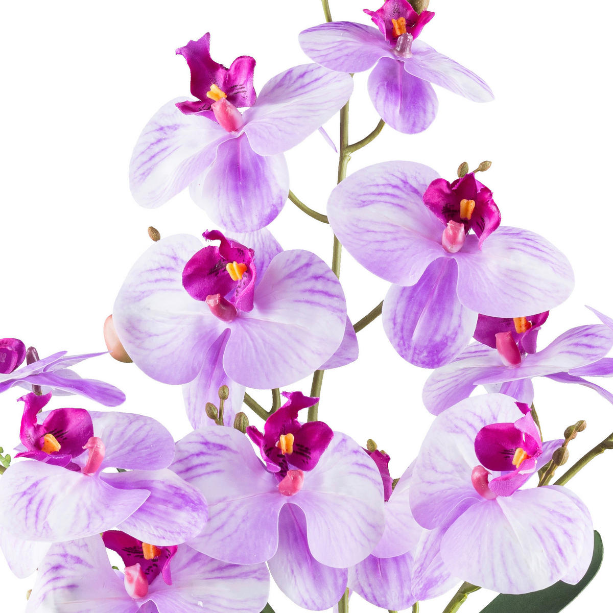 KUNSTPFLANZE Orchidee 55 cm  - Violett/Weiß, Design, Keramik/Kunststoff (55cm) - P & B