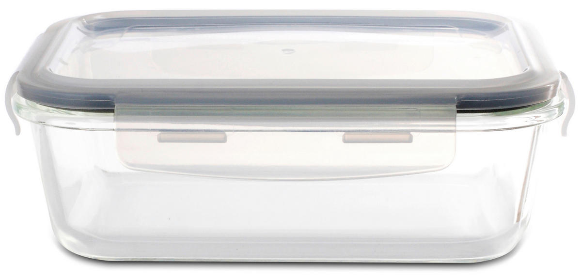 Recipient Depozitare Alimente  0,93 l  - străveziu/transparent, Basics, plastic/sticlă (20,3/15,3/6,6cm) - Homeware Profession.