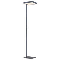 STOJACÍ LED LAMPA, 40/28/184,8 cm - barvy stříbra/čiré, Design, kov/plast (40/28/184,8cm) - Globo