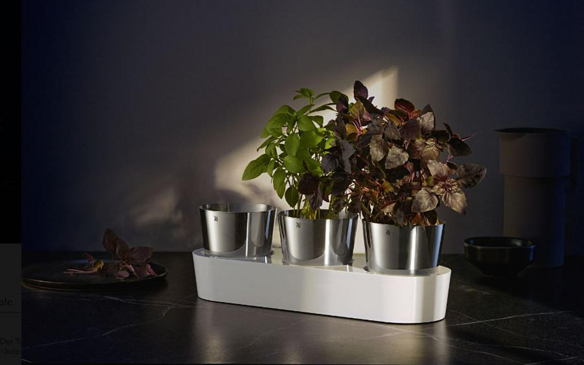 KRÄUTERTOPF - Basics, Kunststoff/Metall (40,4/13,0/12,5cm) - WMF