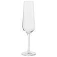 SEKTGLAS LUCCA 220 ml  - Transparent, Basics, Glas (0,22l) - Novel