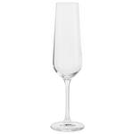 SEKTGLAS LUCCA 220 ml  - Transparent, Basics, Glas (0,22l) - Novel