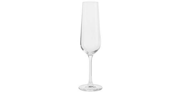 SEKTGLAS LUCCA 220 ml - Transparent, Basics, Glas (0,22l) - Novel