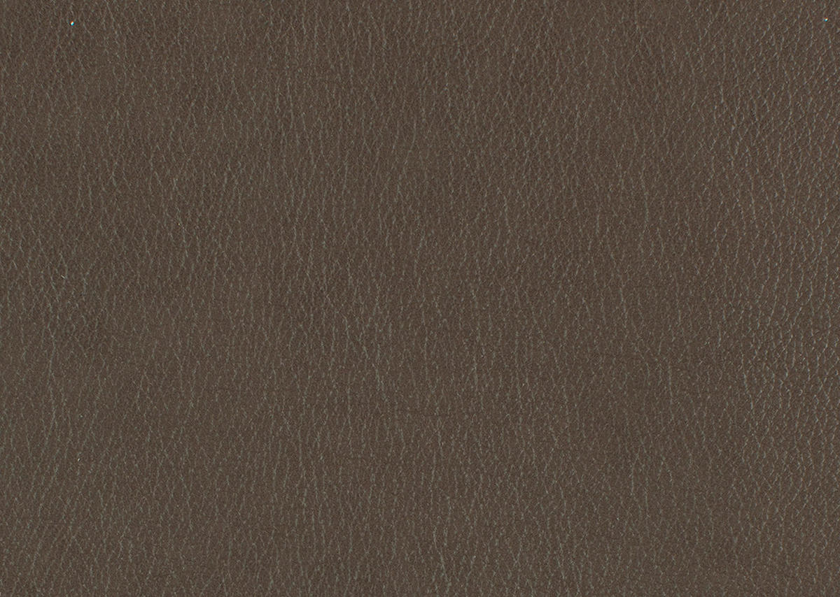 2-SITZER-SOFA in Echtleder Graubraun  - Graubraun/Schwarz, Konventionell, Leder/Metall (178/103/92cm) - Dieter Knoll