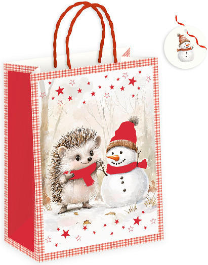 GESCHENKTASCHE  - Multicolor, LIFESTYLE, Papier (26/33,5/13,5cm)
