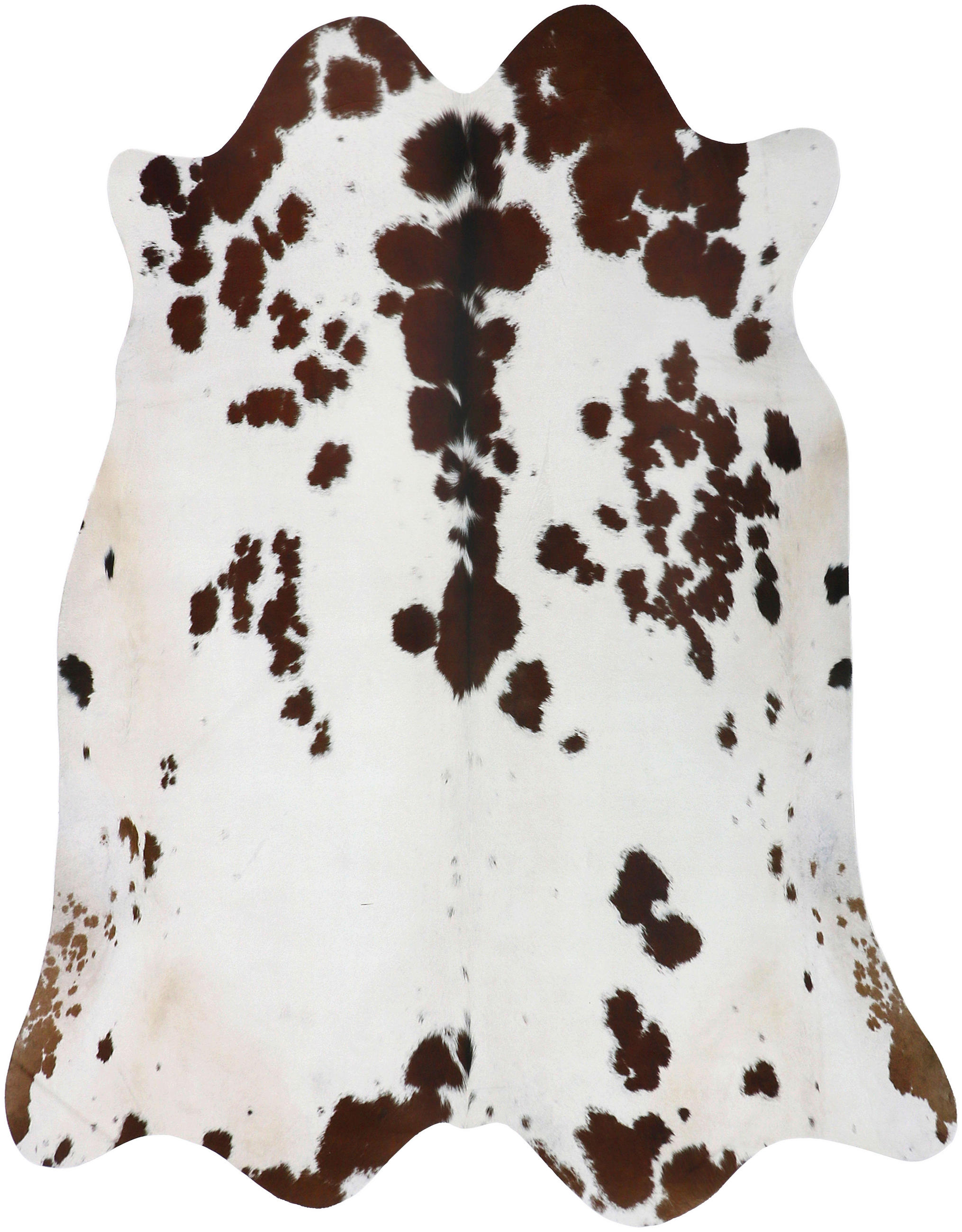 HOVÄDZIA KOŽUŠINA, 120/150 cm, hnedá, prírodná farba, biela - hnedá/biela, Basics, kožušina (120/150cm)