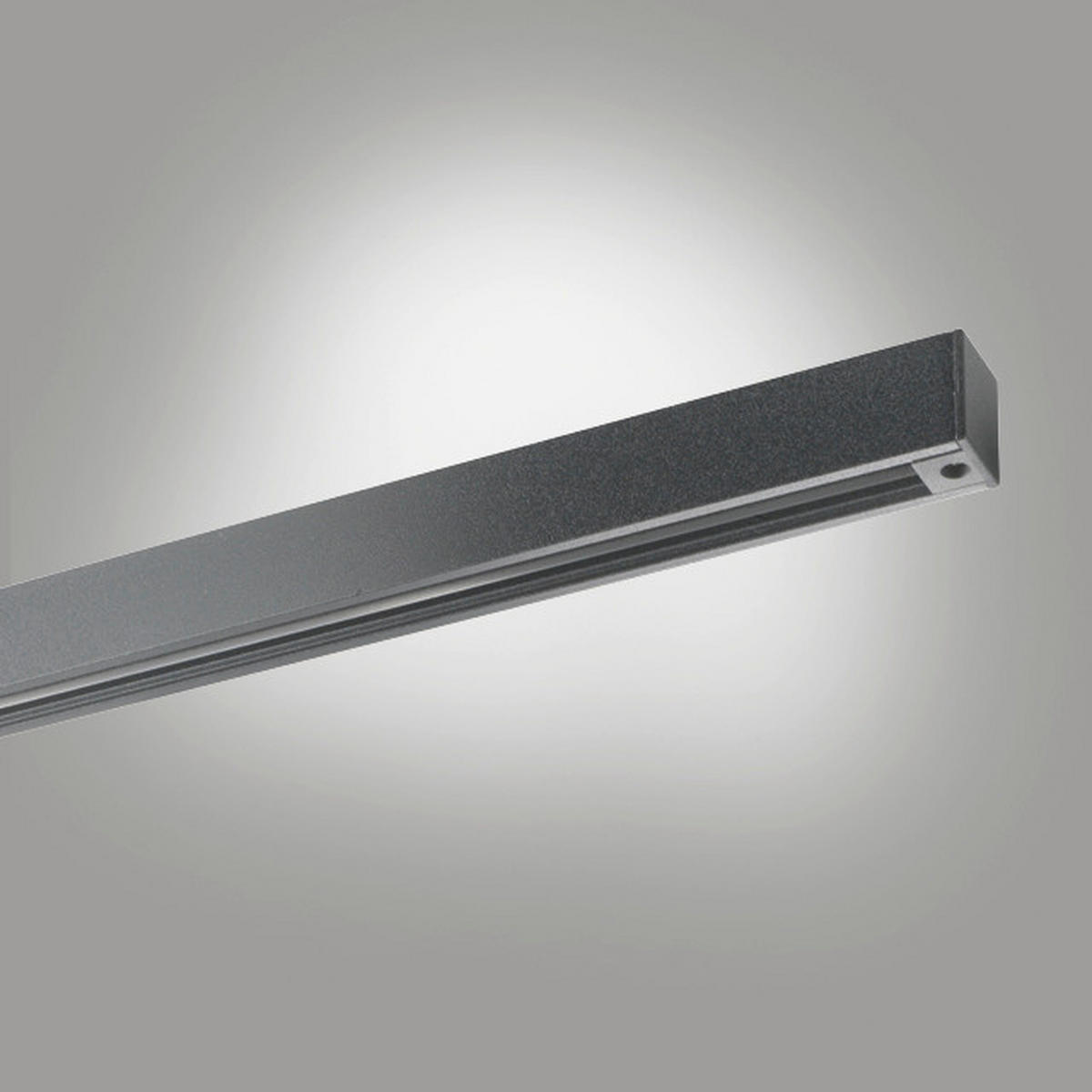 SCHIENENSYSTEM 100 CM - Schwarz, Basics, Metall (100cm) - Fischer & Honsel