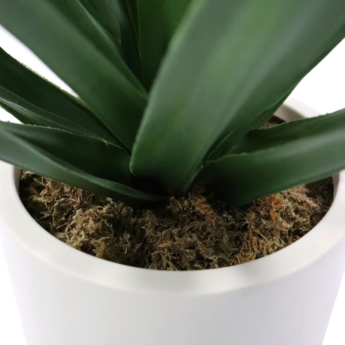 KUNSTPFLANZE Agave  - Beige/Grün, MODERN, Kunststoff (40/45/40cm) - MID.YOU