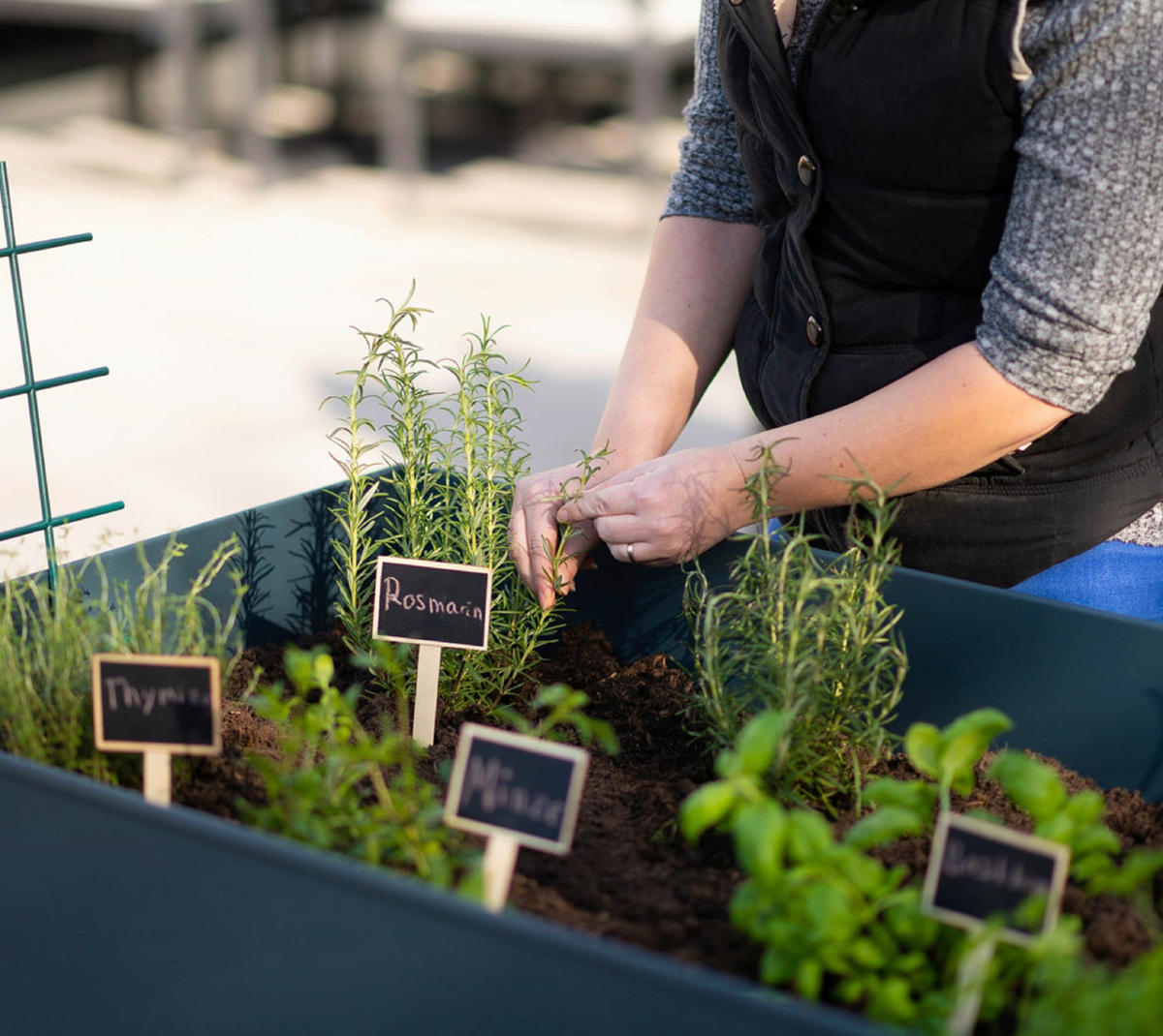 HOCHBEET  - Anthrazit, Basics, Metall (60/80/120cm) - Ambia Garden