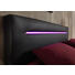 BOXSPRINGBETT 140/200 cm in Schwarz, Weinrot - Weinrot/Schwarz, Trend, Holzwerkstoff/Kunststoff (140/200cm) - Carryhome BOXSPRINGBETT 140/200 cm in Schwarz, Weinrot - Weinrot/Schwarz, Trend, Holzwerkstoff/Kunststoff (140/200cm) - Carryhome