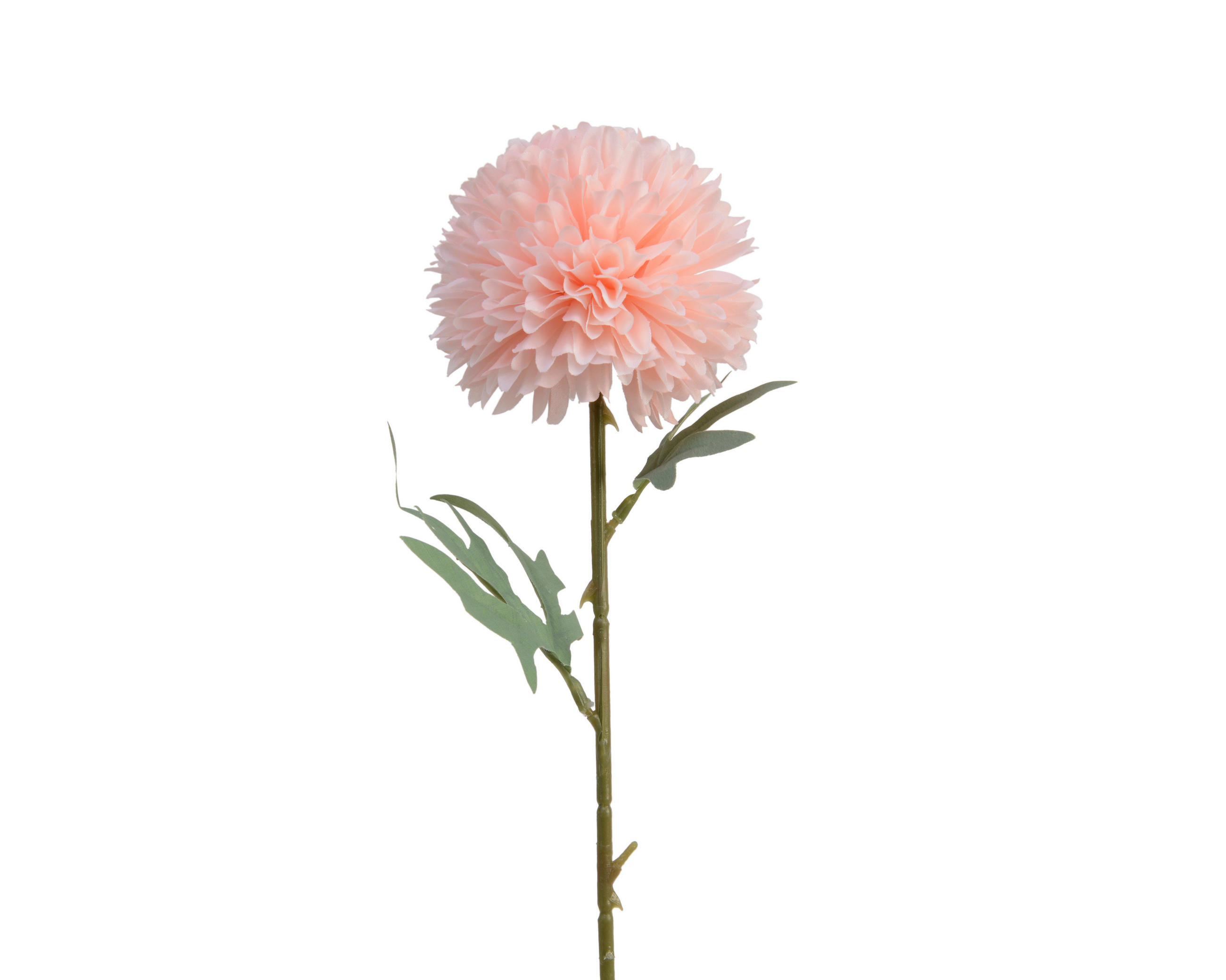HORTENZIA - Basics, műanyag (60cm)