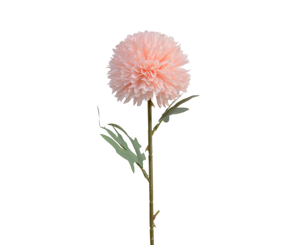 HORTENZIA - Basics, műanyag (60cm)