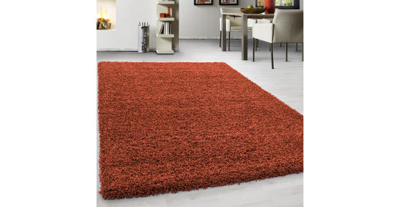 HOCHFLORTEPPICH 120/170 cm Life 1500  - Terracotta, KONVENTIONELL, Textil (120/170cm) - Novel