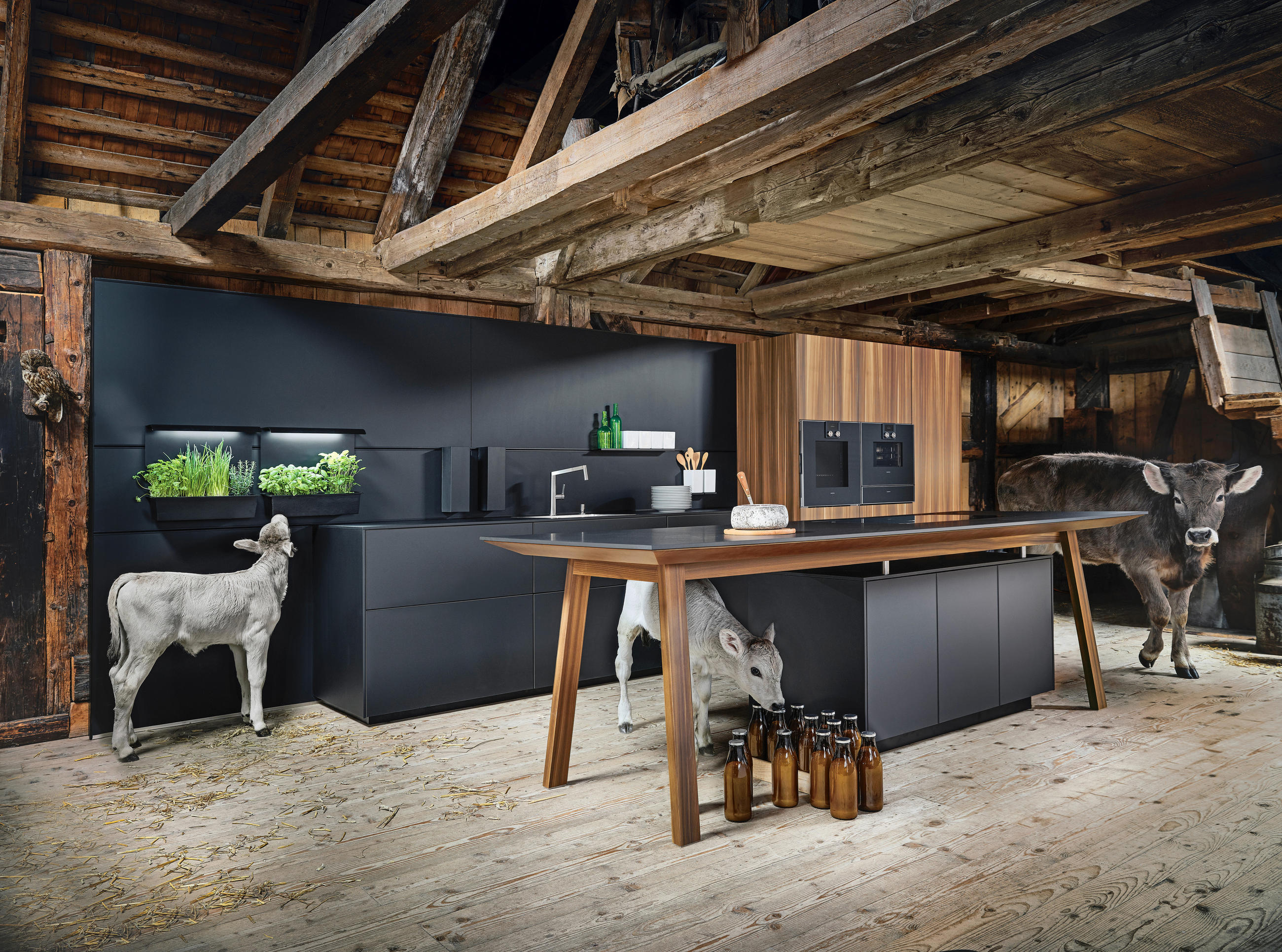 EINBAUKÜCHE   - Modern, Holzwerkstoff - Next 125